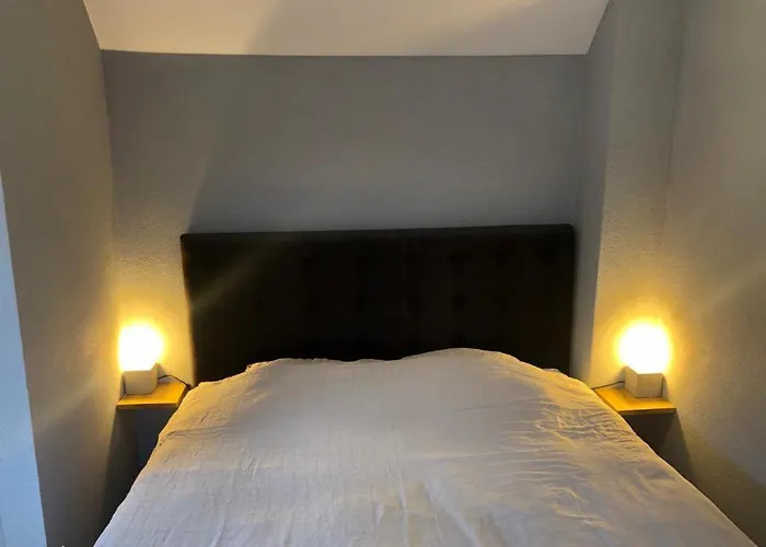 De Vrije Vogel * إغموند آن زي